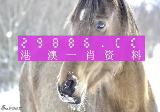 澳門一肖一碼100%準(zhǔn)確,前沿分析解析_XP189.620