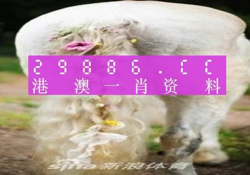 澳門必中一肖一碼四不像,實地驗證數(shù)據(jù)設(shè)計_AP53.926