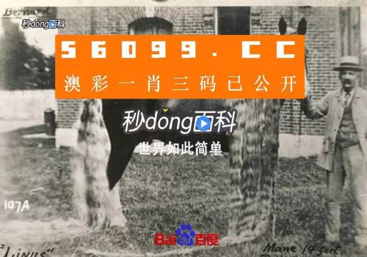 澳門今晚必開一肖一特,實際應(yīng)用解析說明_3K43.680