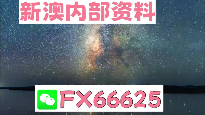 新澳天天彩免費資料,權威方法推進_ios48.165