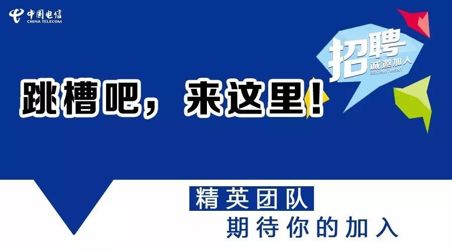 莘縣信息港最新招聘信息全面解析