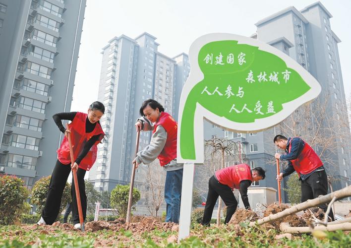 復(fù)興街道最新動態(tài)揭秘，探索城市發(fā)展前沿新聞