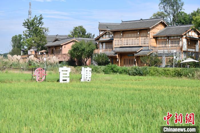 官塘村發(fā)展動(dòng)態(tài)更新，新聞速遞與社區(qū)新貌展現(xiàn)