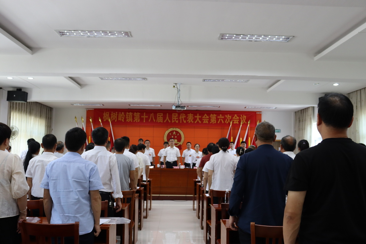 桐嶺鎮(zhèn)人事任命揭曉，新一輪力量布局推動(dòng)地方發(fā)展