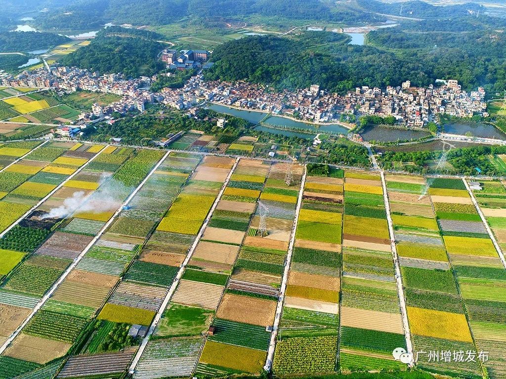 田心鎮(zhèn)最新項(xiàng)目，地區(qū)發(fā)展新動(dòng)力引領(lǐng)者