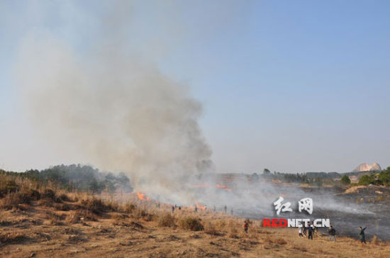 竹管寺鎮(zhèn)最新招聘信息全面解析