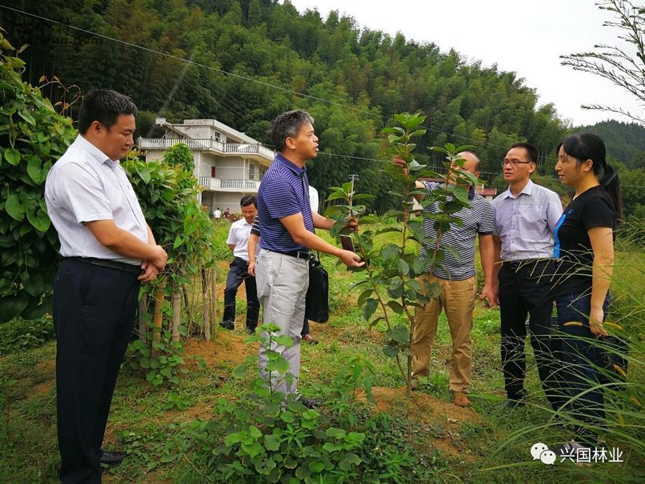 分水村新領(lǐng)導引領(lǐng)村莊邁向輝煌未來