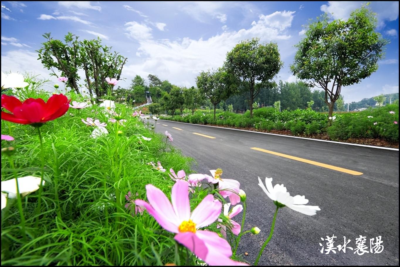 七路街道新任領導團隊一覽