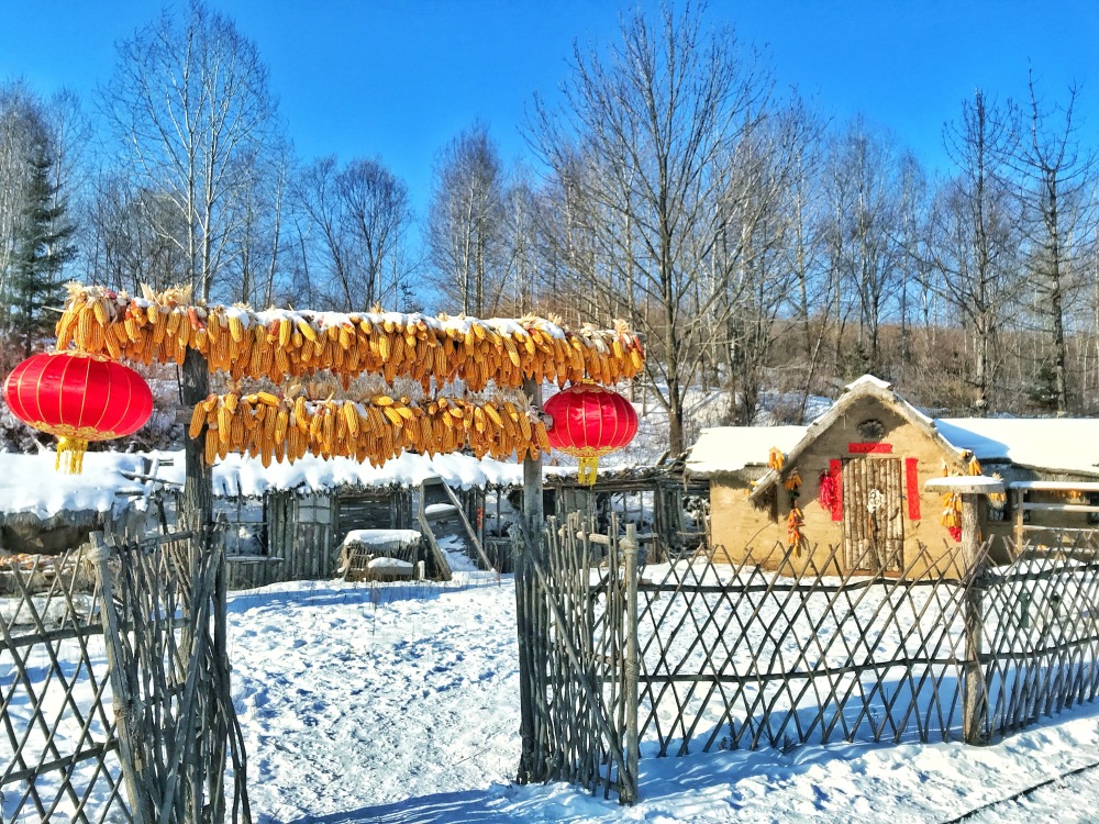 塘巴雪村神秘面紗下的新面貌揭曉最新新聞曝光