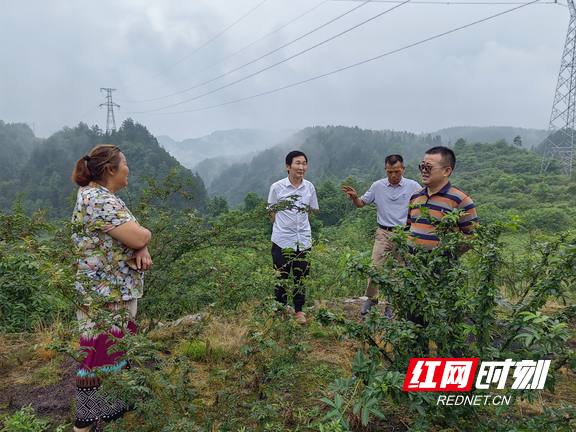 夏果村新項目啟動，鄉(xiāng)村振興新篇章