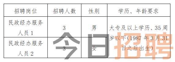 自流井區(qū)退役軍人事務(wù)局招聘啟事，職位概覽與申請指南