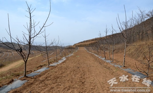 秦亭鎮(zhèn)未來(lái)繁榮與和諧共融的藍(lán)圖發(fā)展規(guī)劃揭秘