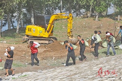 三陽鄉(xiāng)交通新聞，交通建設(shè)蓬勃發(fā)展