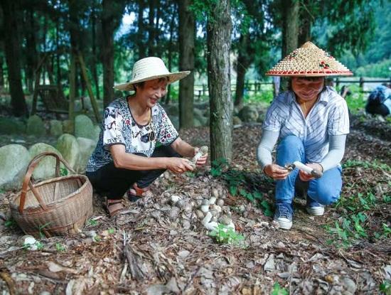 仙女鎮(zhèn)領導團隊引領未來，鑄就輝煌新篇章